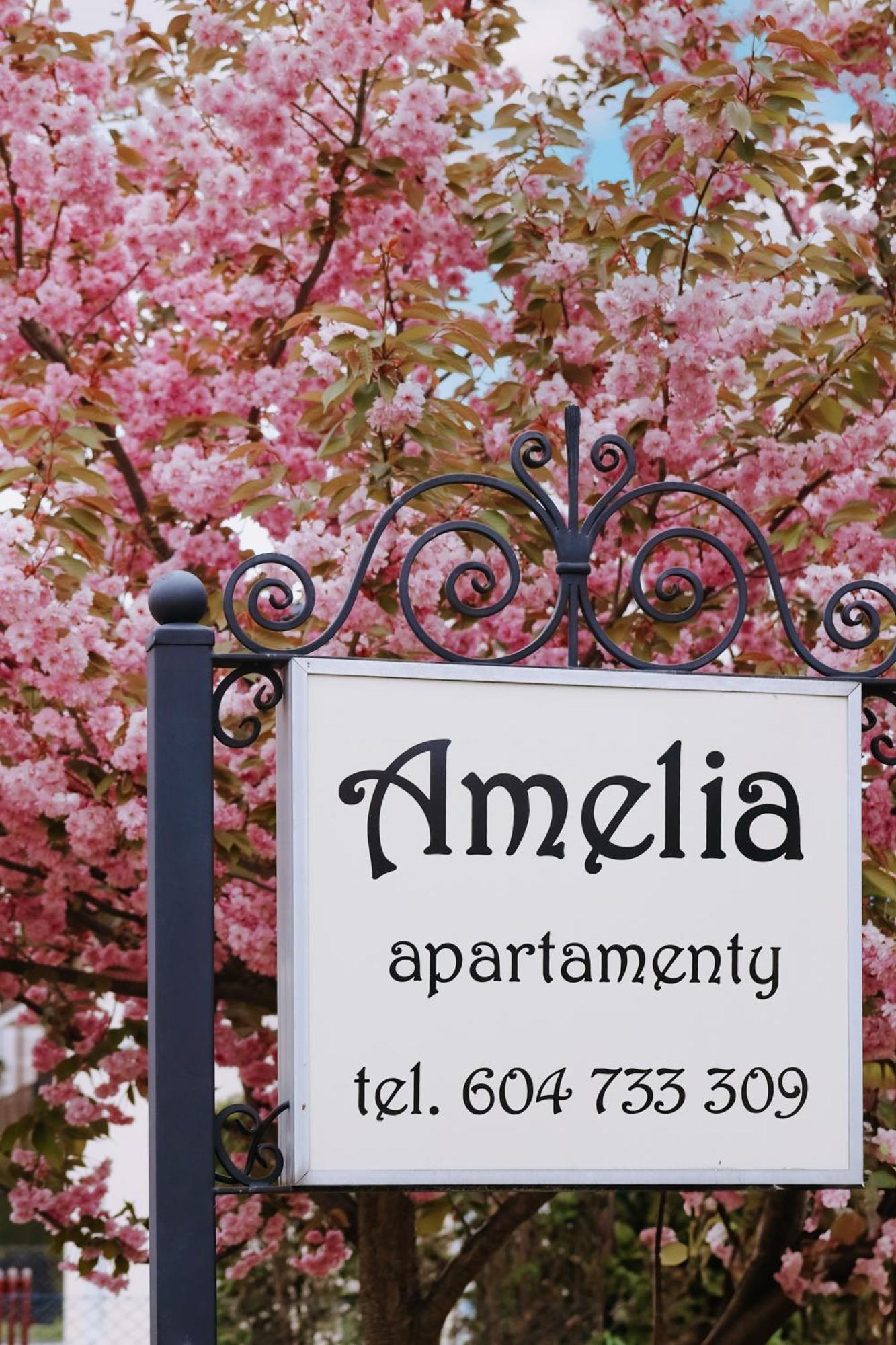 Władysławowo Amelia Apartamenty - Sala Zabaw, 2 Sypialnie, Garaz Podziemny מראה חיצוני תמונה